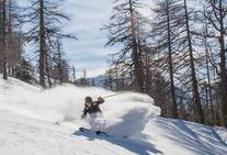 Freeriding