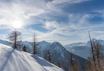 Sledging