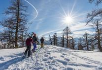 Sci alpinismo