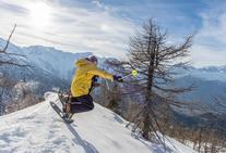 Bollettino della neve